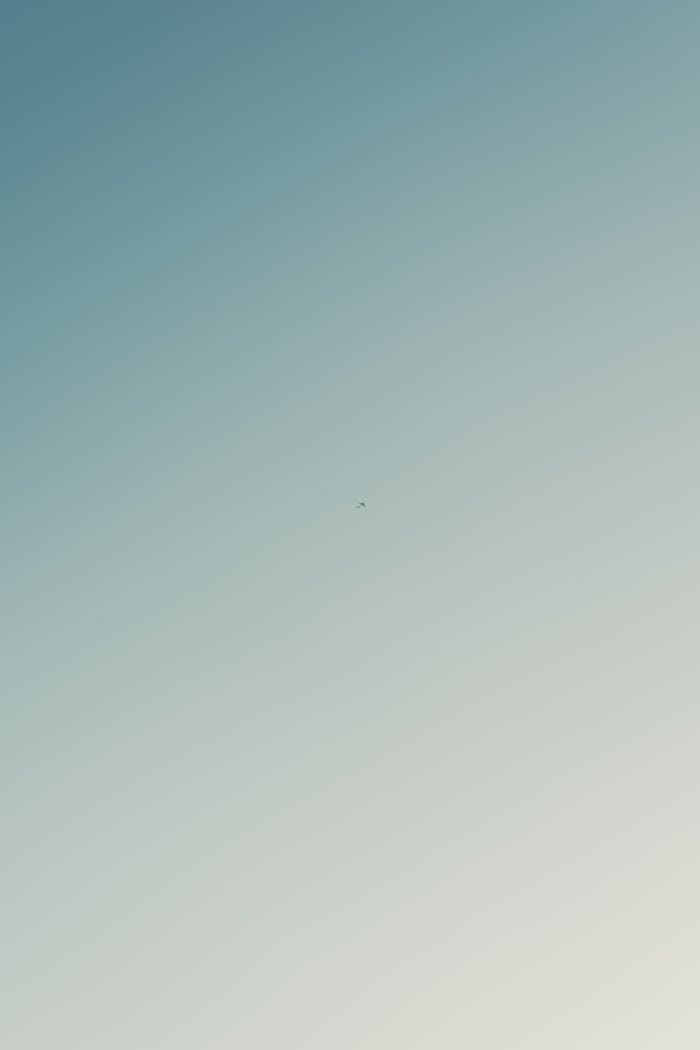 Minimalist photo of an airplane flying through a clear blue sky in Juárez, México.